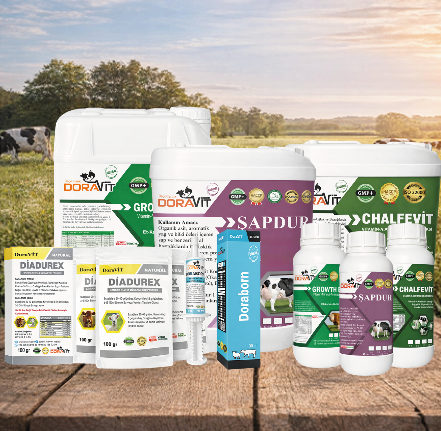 Verimde İstikrar, Sağlıkta Güvence