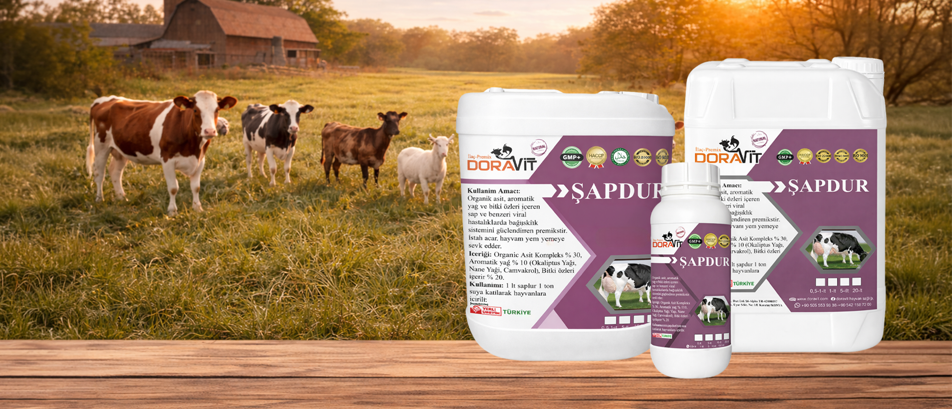 Şap Hastalığına Son, Güçlü Koruma